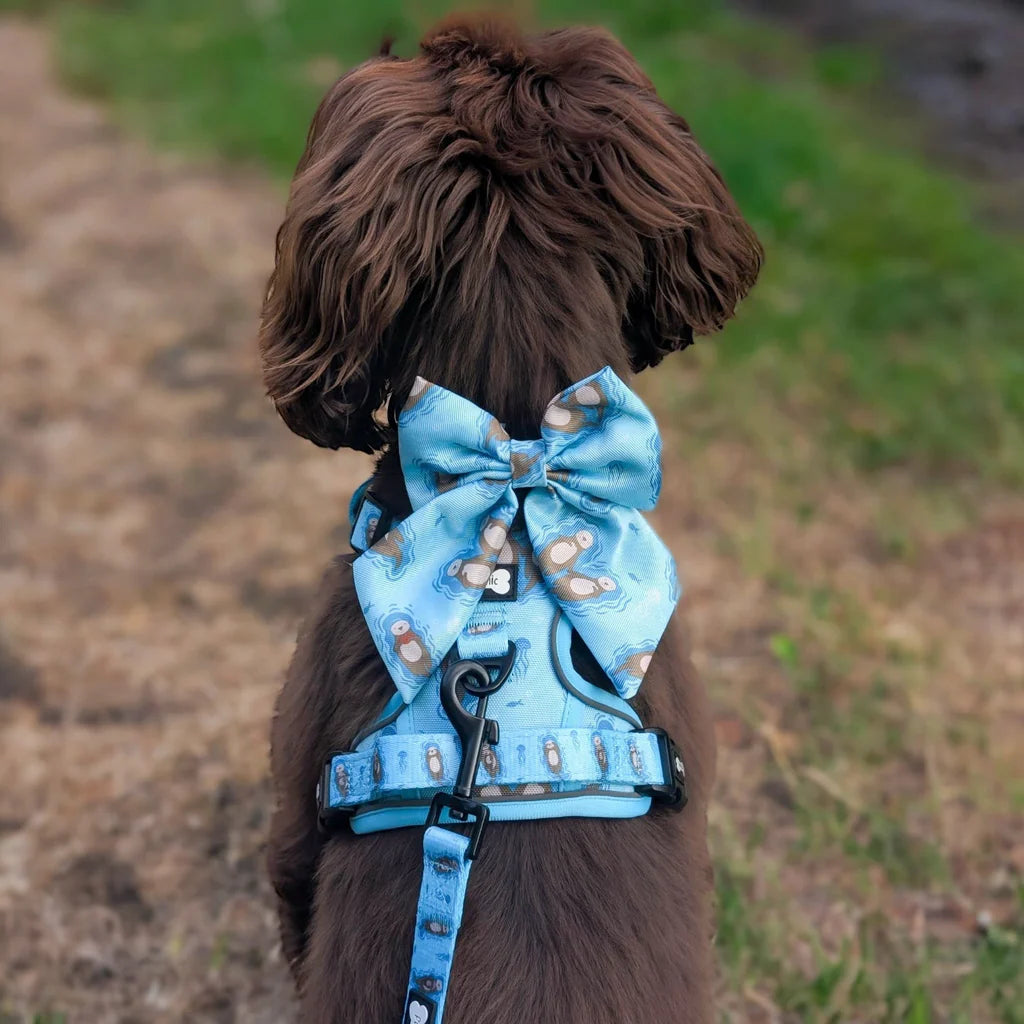 Pup Chic Boutique Sailor Bow - Otterly Lovely