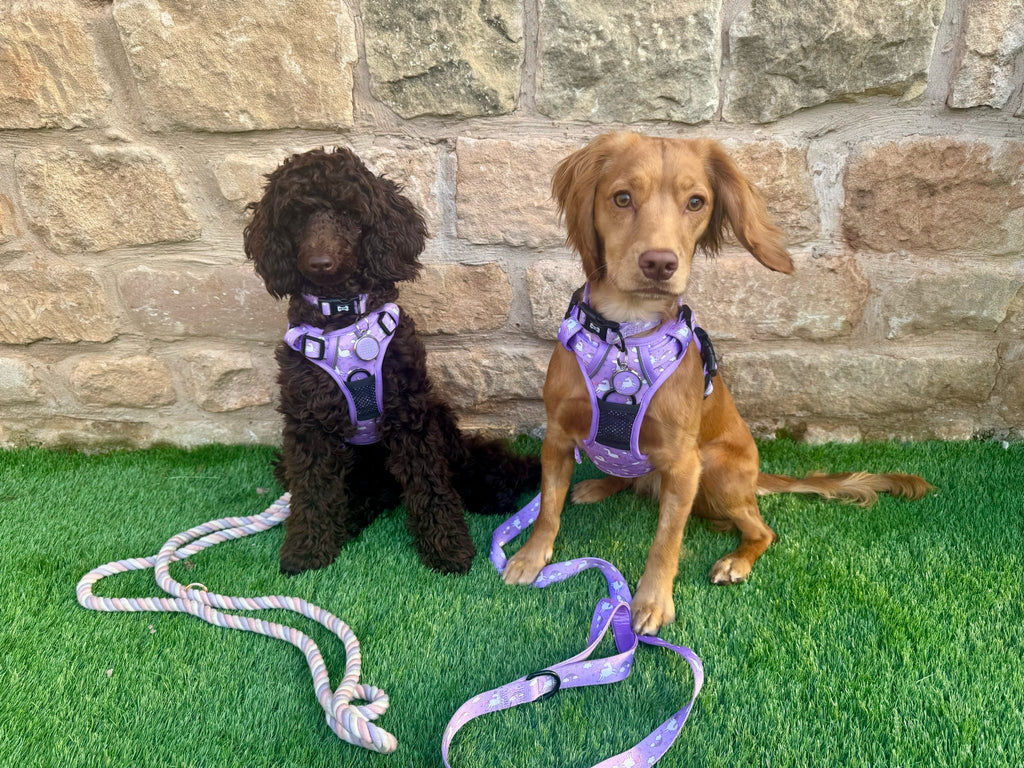 Pup Chic Boutique Tactical Dog Harness - Daydreams & Unicorns