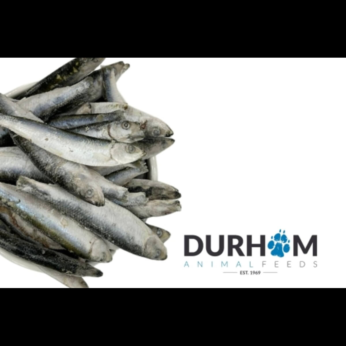 Durham Animal Feeds Sprats – 1kg - whole raw fish beside the Durham Animal Feeds logo.