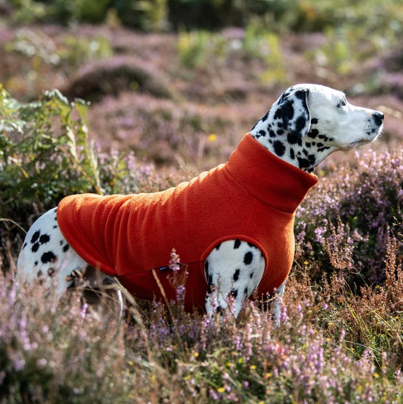 Doghouse XL Dog Fleece Jumper