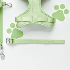 Cocopup NAKD Collar - Matcha