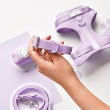 Cocopup NAKD Collar - Parma Violets