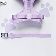Cocopup NAKD Collar - Parma Violets