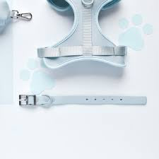Cocopup NAKD Collar - Bubblegum