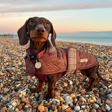 Cocopup Quilted Dog Coat - Pup Plaid