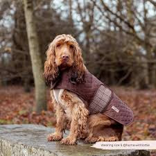 Cocopup Quilted Dog Coat - Pup Plaid