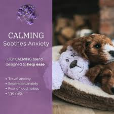 Rosewood Aromadog Calm Fleece Flatty Dog Toy