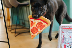 P.L.A.Y. Puppy-roni Pizza Dog Toy