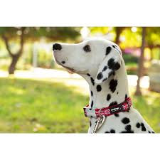Red Dingo Dog Collar - Union Jack Flag on Red