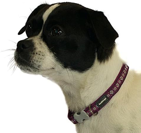Red Dingo Dog Collar - Purple Daisy Chain