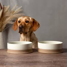 Scruffs Scandi Non-Tip Dog Bowl