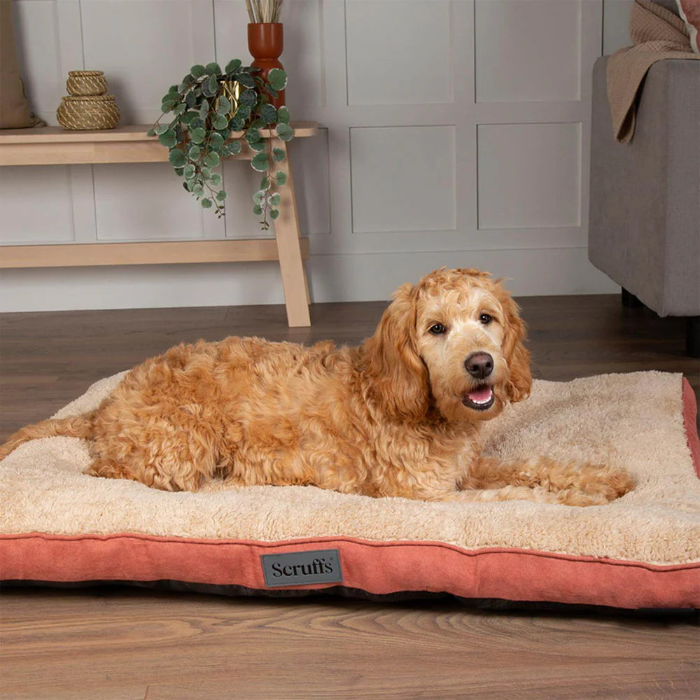 Scruffs Cosy Mattress Assorted Colours - Medium