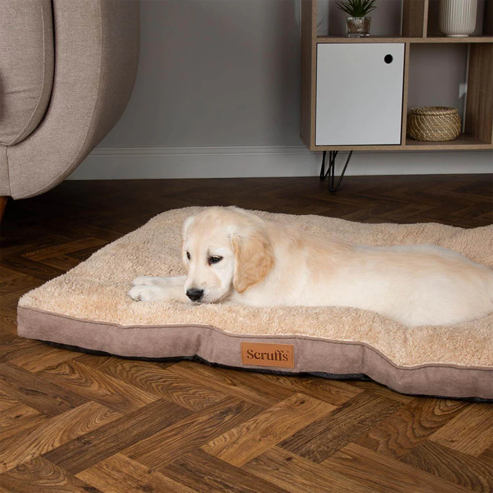 Scruffs Cosy Mattress Assorted Colours - Medium