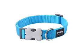 Red Dingo Classic Dog Collar Turquoise