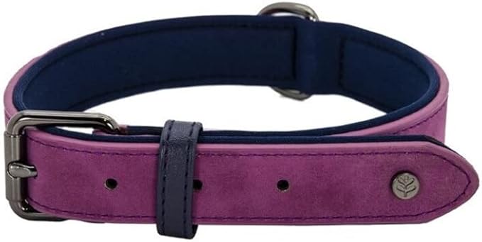 Sotnos Brights Tech Collar - Small / Purple