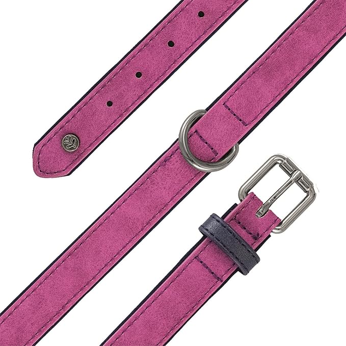 Sotnos Brights Tech Collar - Small / Purple