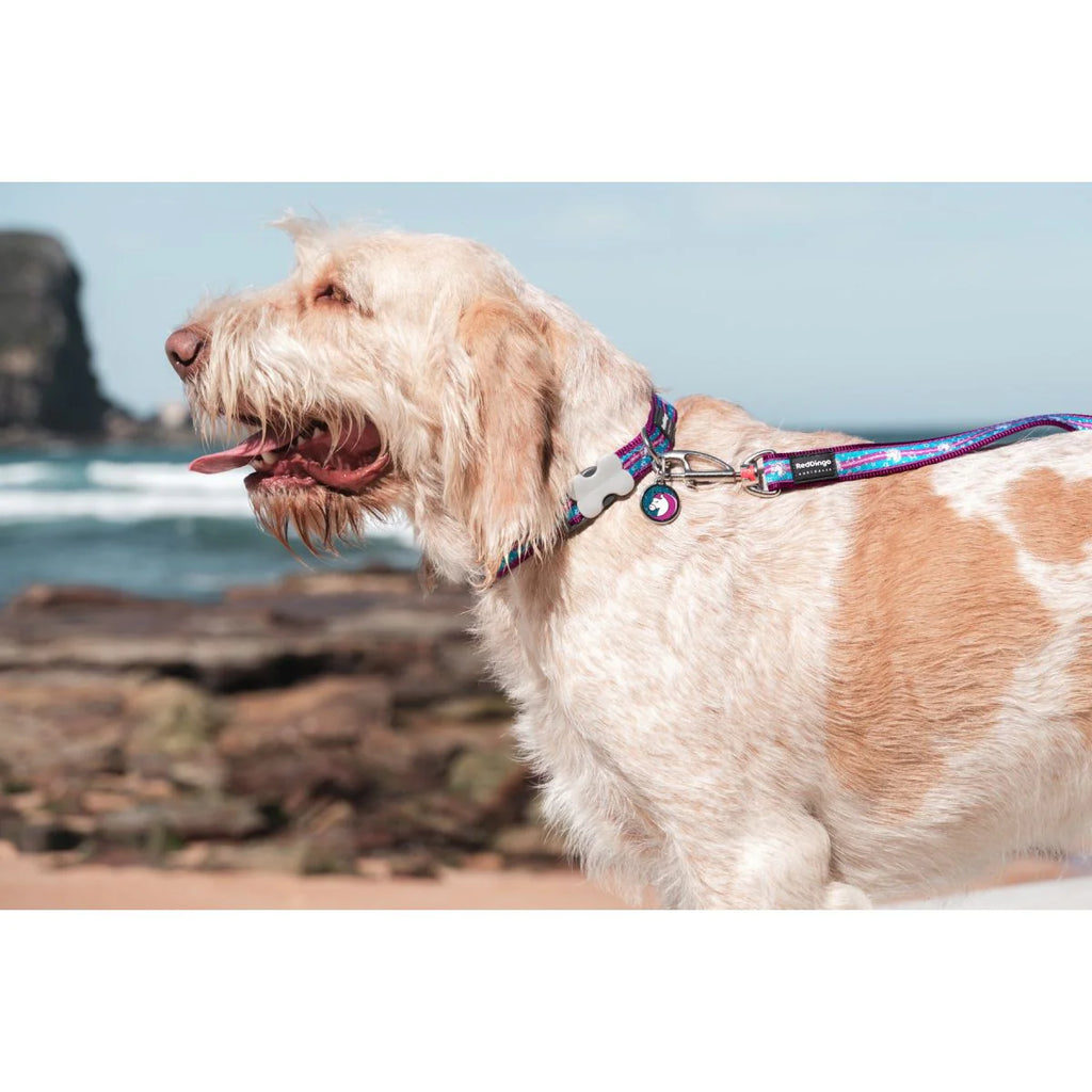 Red Dingo Dog Lead - Purple Unicorn