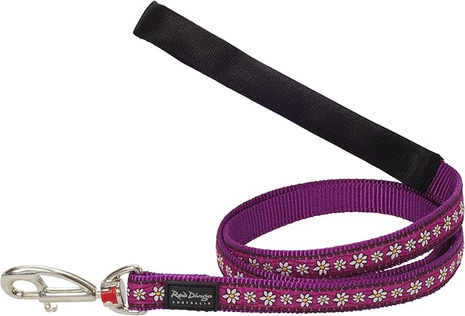 Red Dingo Dog Lead - Purple Daisy Chain