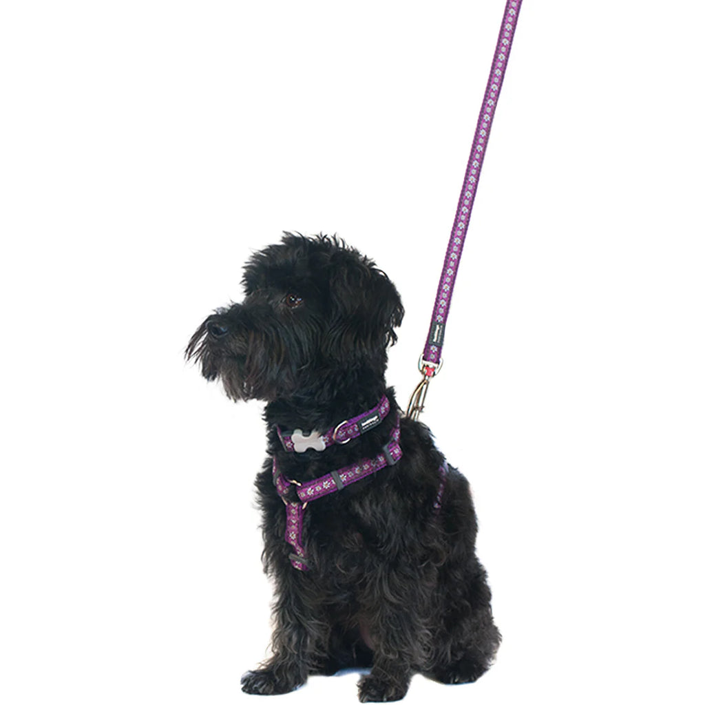 Red Dingo Dog Lead - Purple Daisy Chain