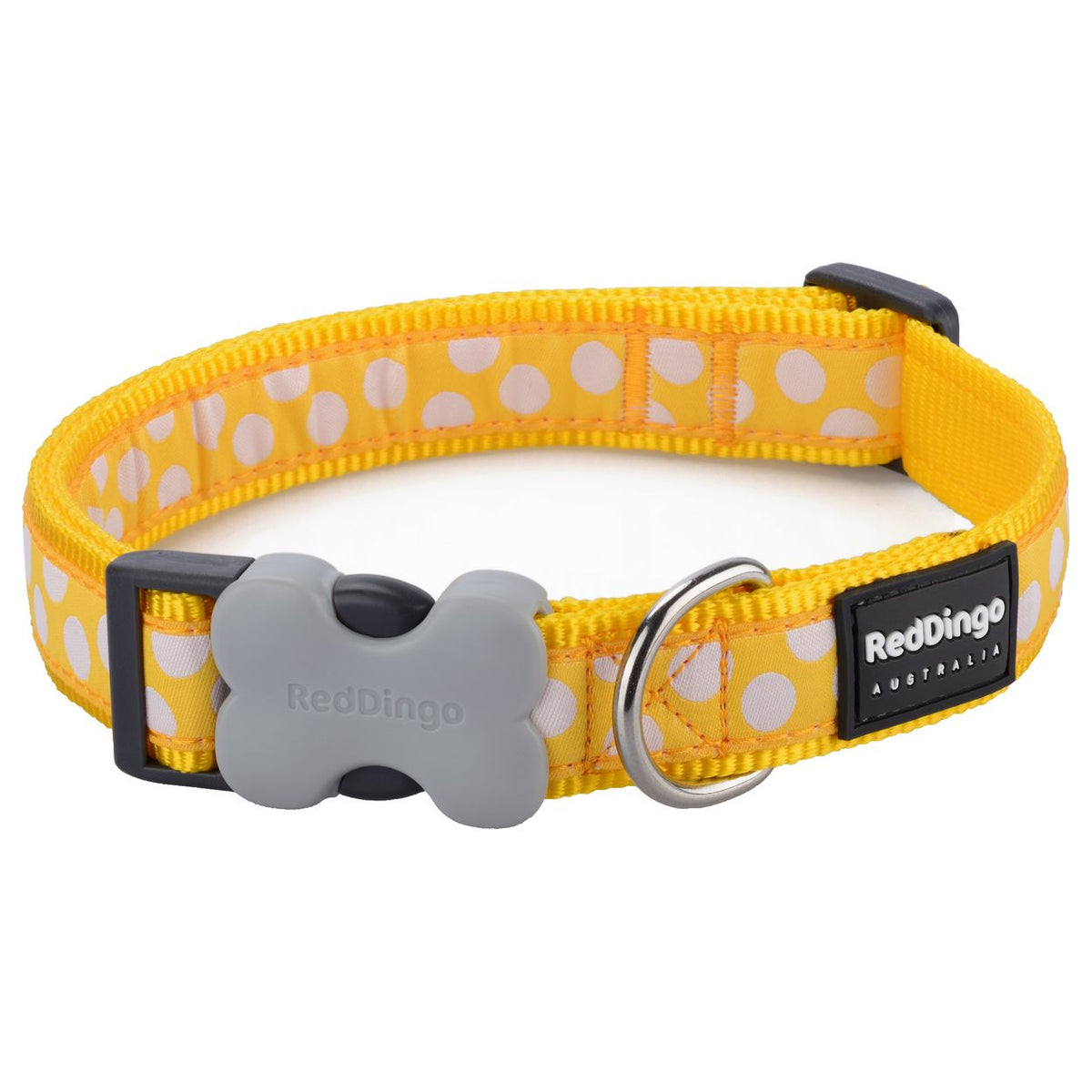 Red Dingo Dog Collar - Yellow With White Spots
