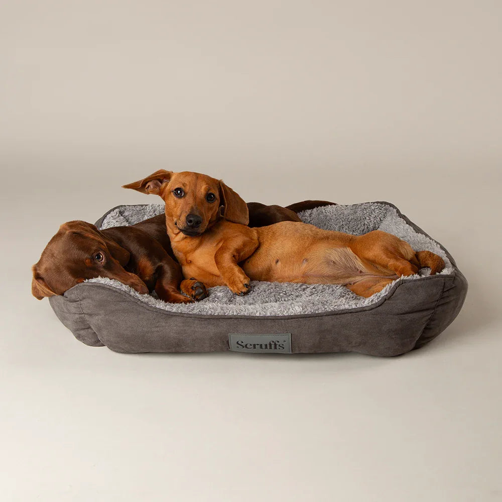 Scruffs Cosy Box Bed - Grey