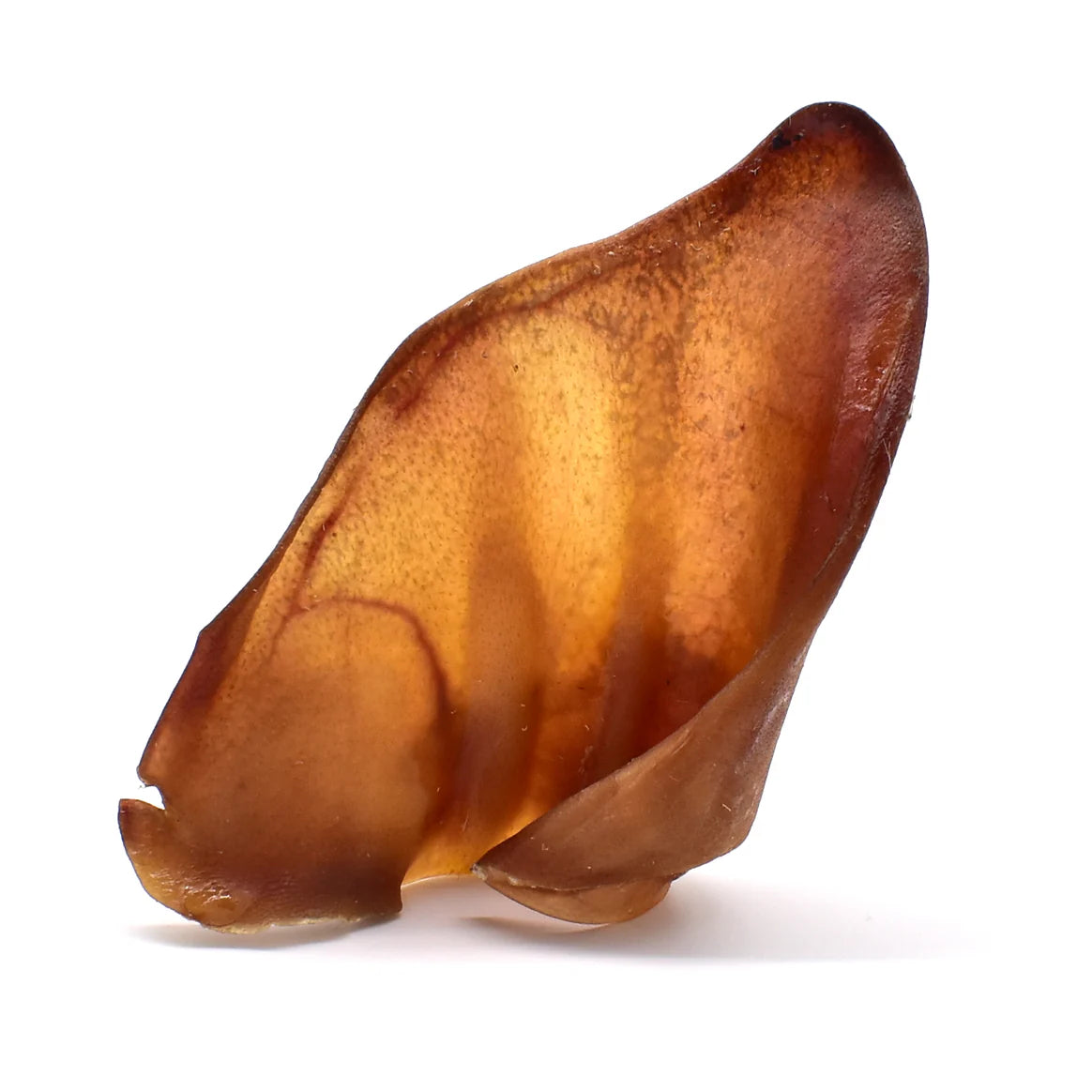 Pure and Natural Pig Ear