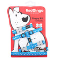Red Dingo Puppy Pack - White Stars on Turquoise