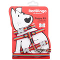 Red Dingo Puppy Pack - Rainbow Red
