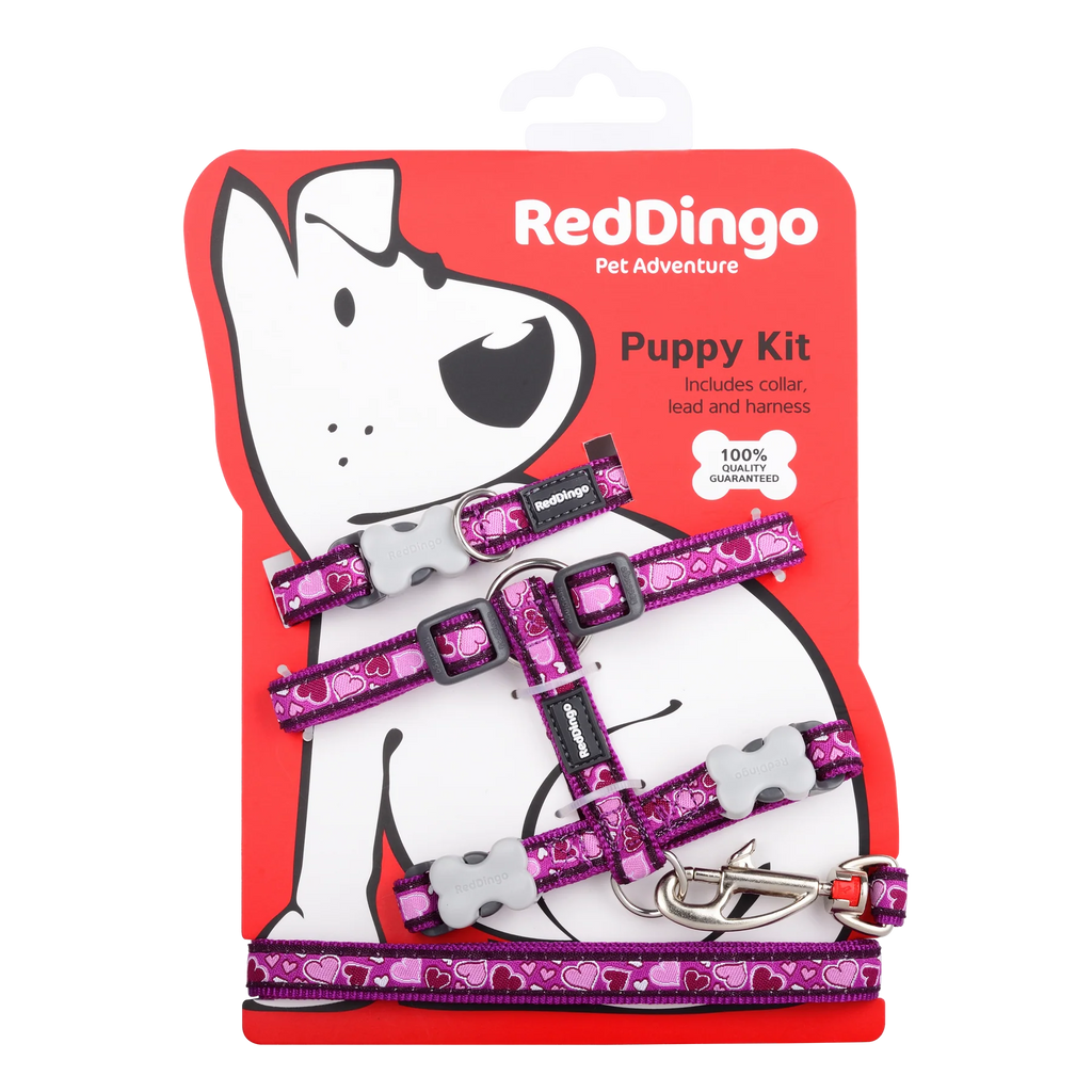 Red Dingo Puppy Pack - Breezy Purple