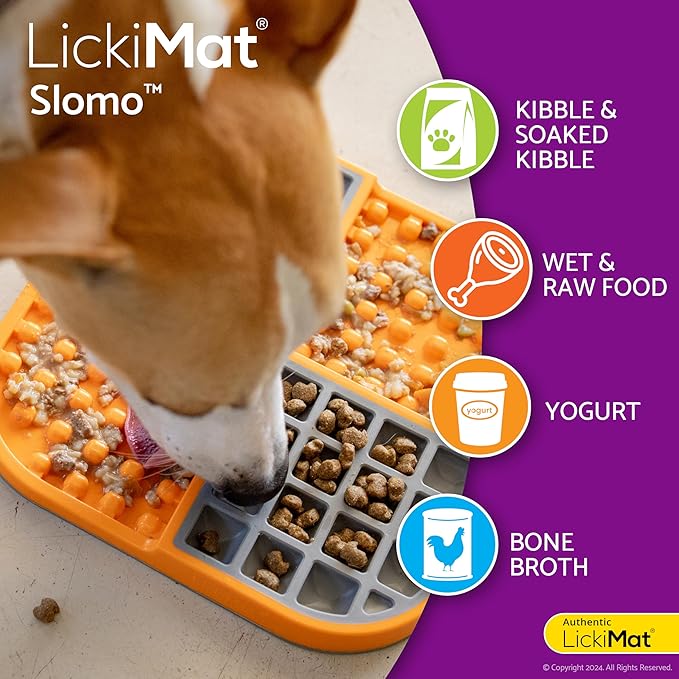 LickiMat Slomo Dog Slow Feeder - Purple