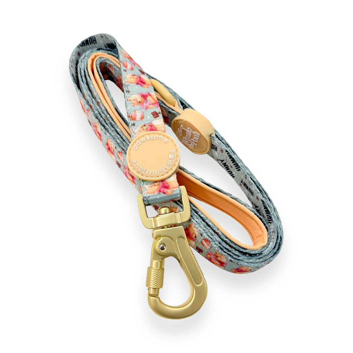 Pawsome Paws Boutique Dog Lead - Winnie the Pooh