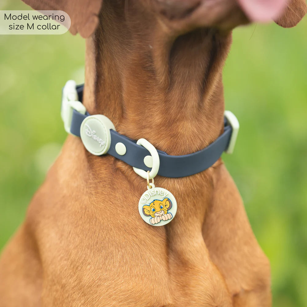 Pawsome Paws Boutique Waterproof Collar - Simba