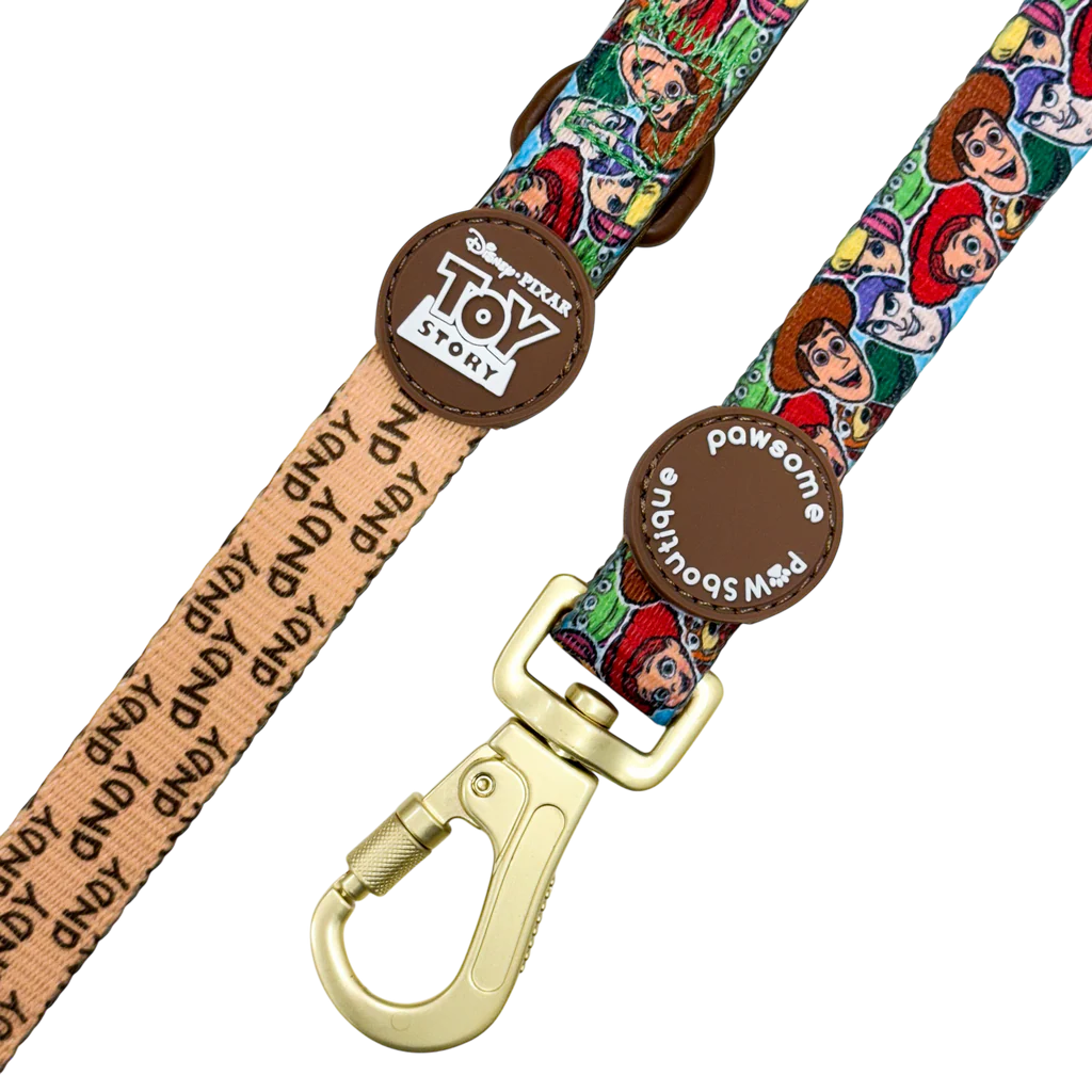 Pawsome Paws Boutique Dog Lead - Toy Story