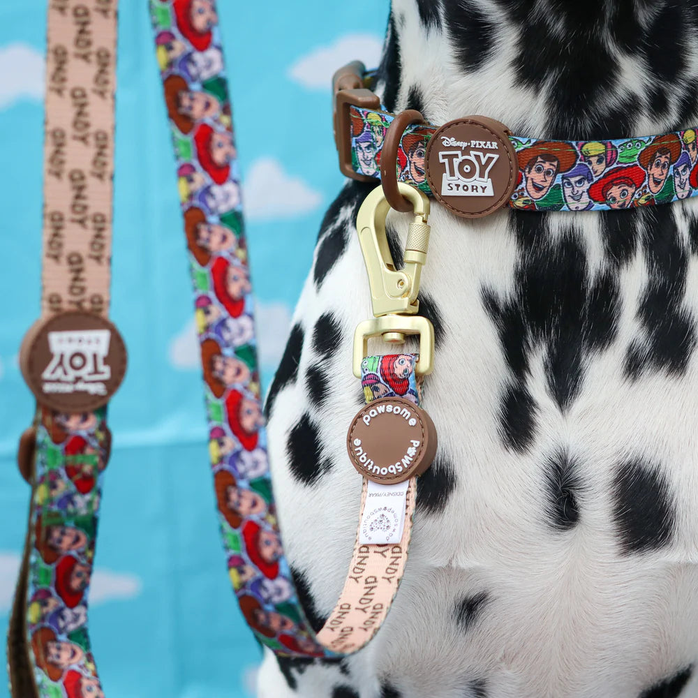 Pawsome Paws Boutique Dog Lead - Toy Story