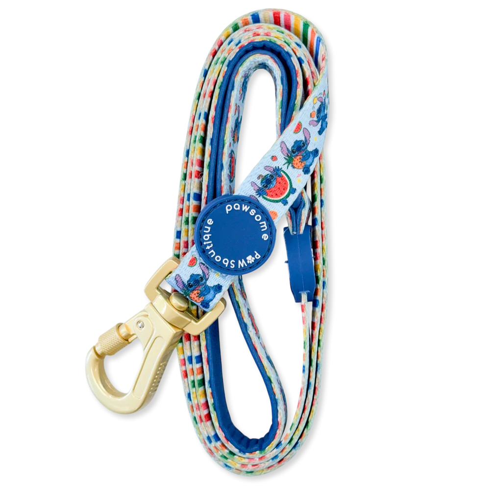 Pawsome Paws Boutique Dog Lead - Stitch’s Fruit Fiesta