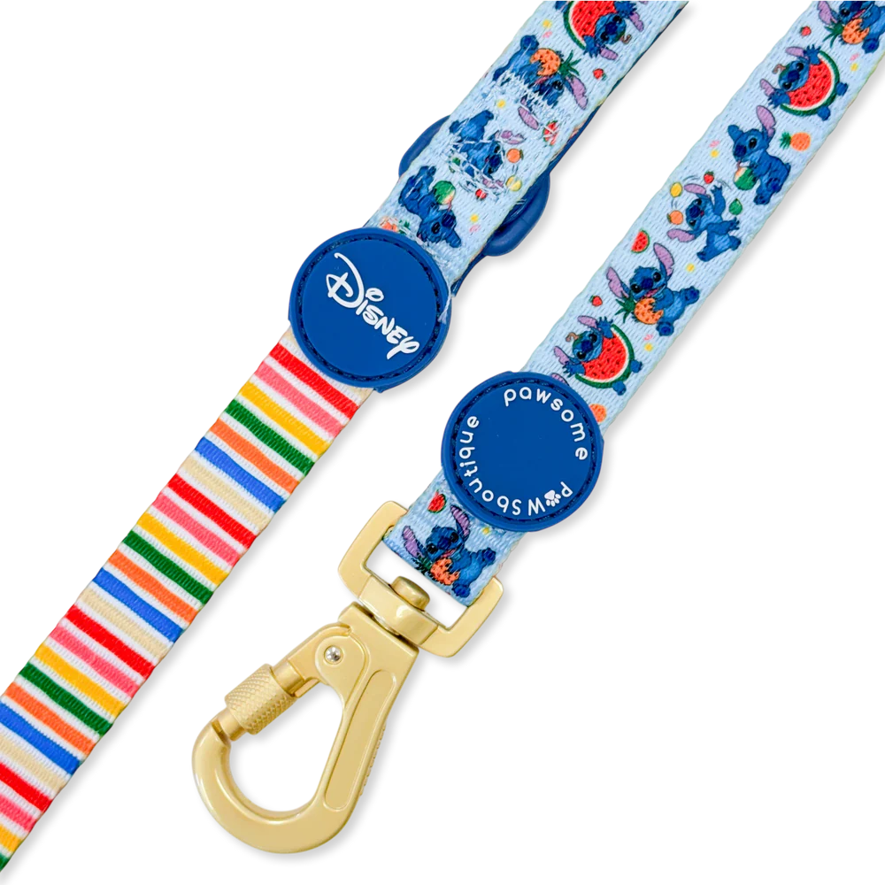 Pawsome Paws Boutique Dog Lead - Stitch’s Fruit Fiesta