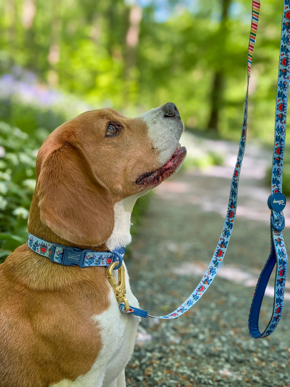 Pawsome Paws Boutique Dog Lead - Stitch’s Fruit Fiesta