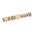 Pawsome Paws Boutique Collar - Winnie the Pooh