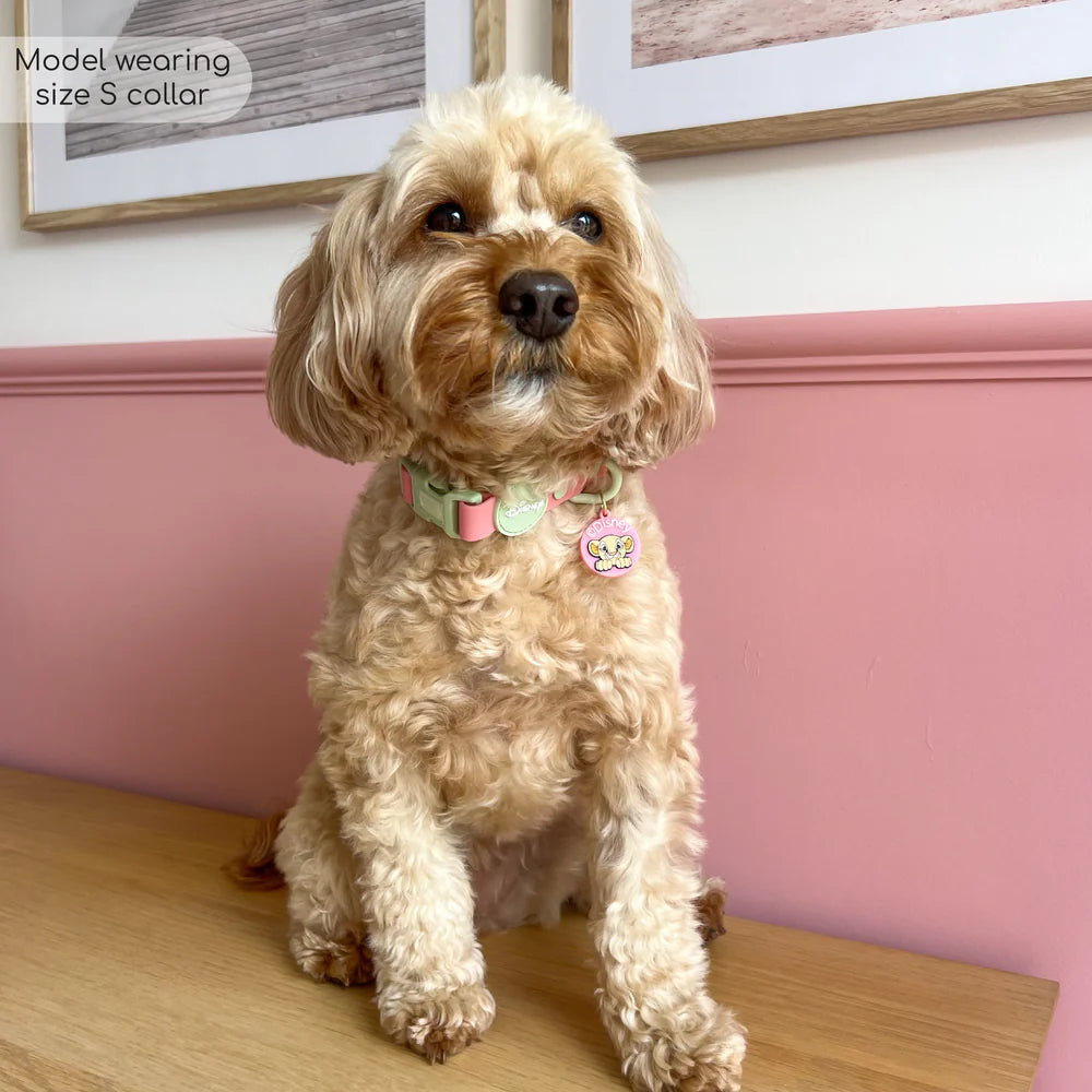 Pawsome Paws Boutique Waterproof Collar - Nala