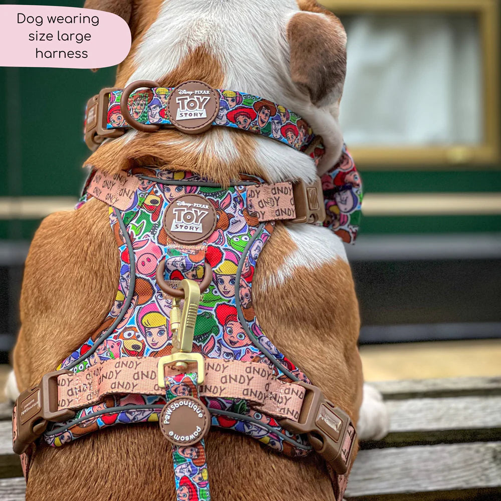 Pawsome Paws Boutique Collar - Toy Story