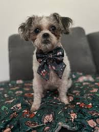 Pup Chic Boutique Sailor Bow - Woodland Wonderland