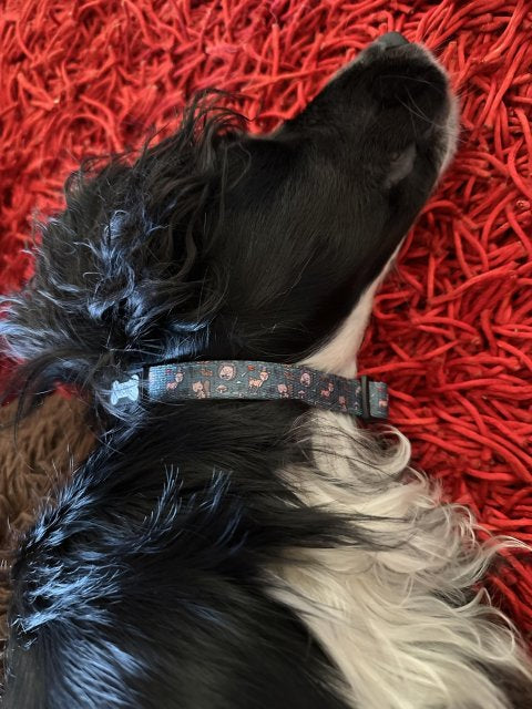 Pup Chic Boutique Dog Collar - Woodland Wonderland