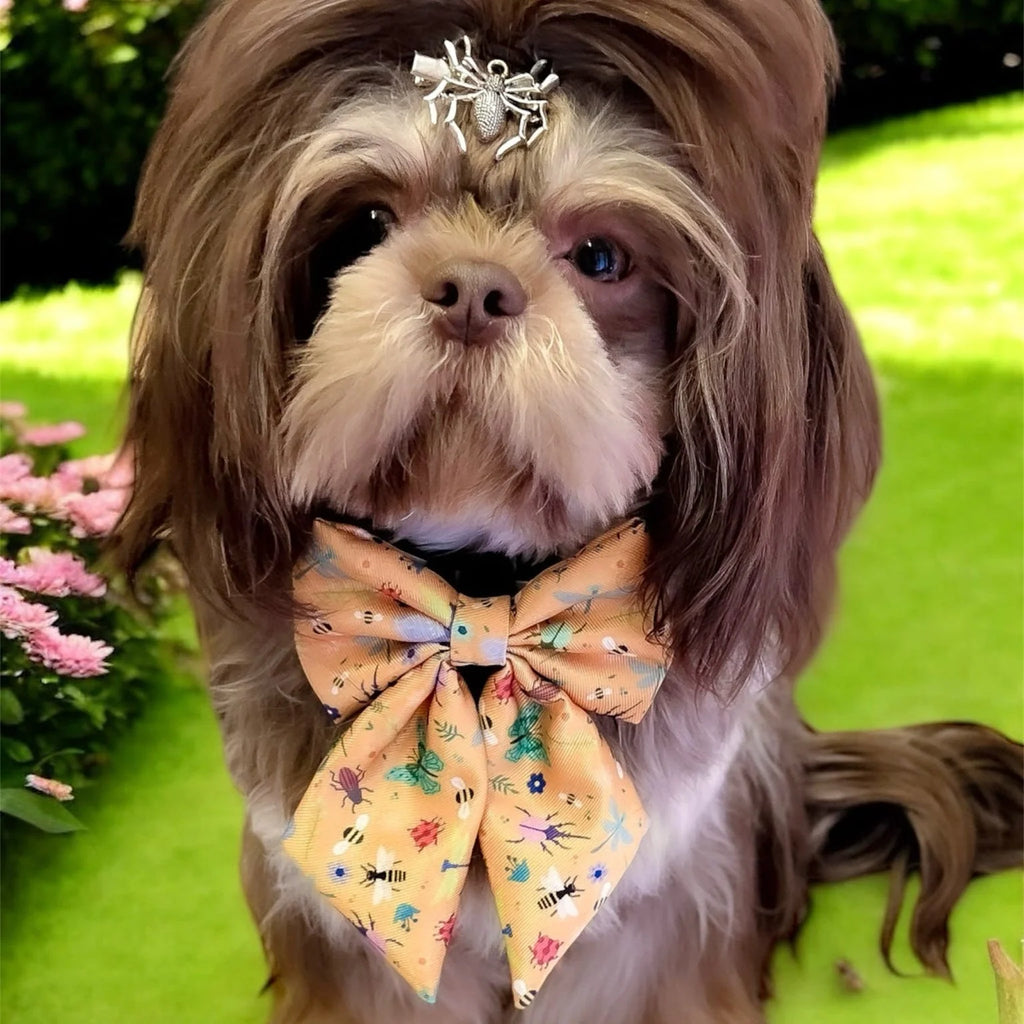 Pup Chic Boutique Sailor Bow - Summer Buzzin