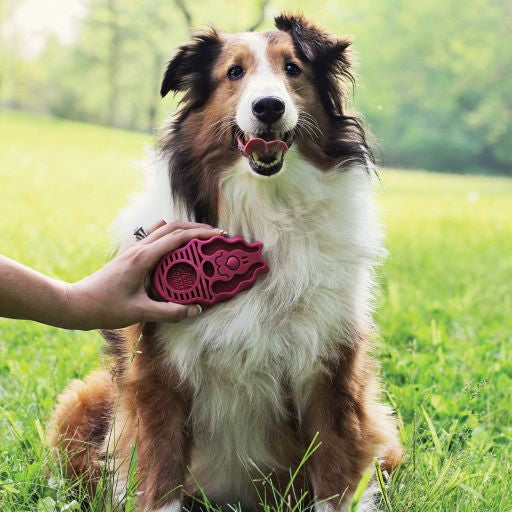 KONG Zoom Groom Raspberry - Large