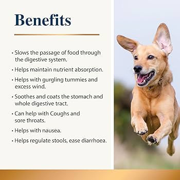 Karnlea Slippery Elm & Marshmallow Root Powder for Dogs and Cats - 100g
