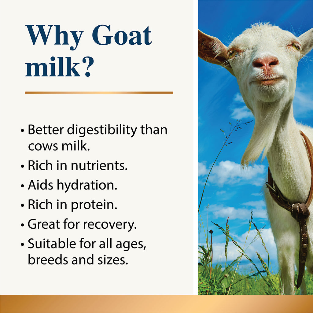 Karnlea Goat Milk Plus Pro & Postbiotics Powder for Dogs and Cats - 200g