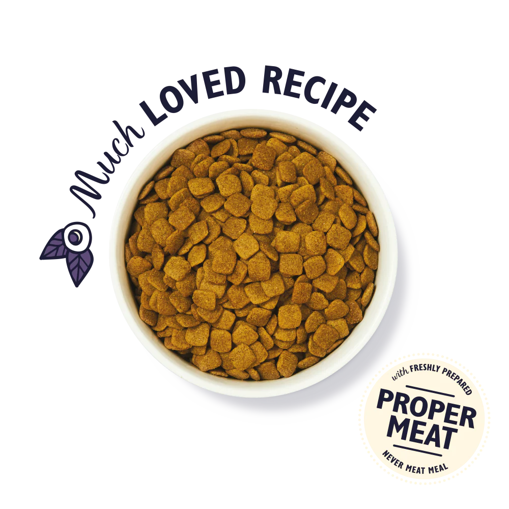 Lily's Kitchen Dog Complete Dry Senior Recipe Turkey & Trout - 2.5kg