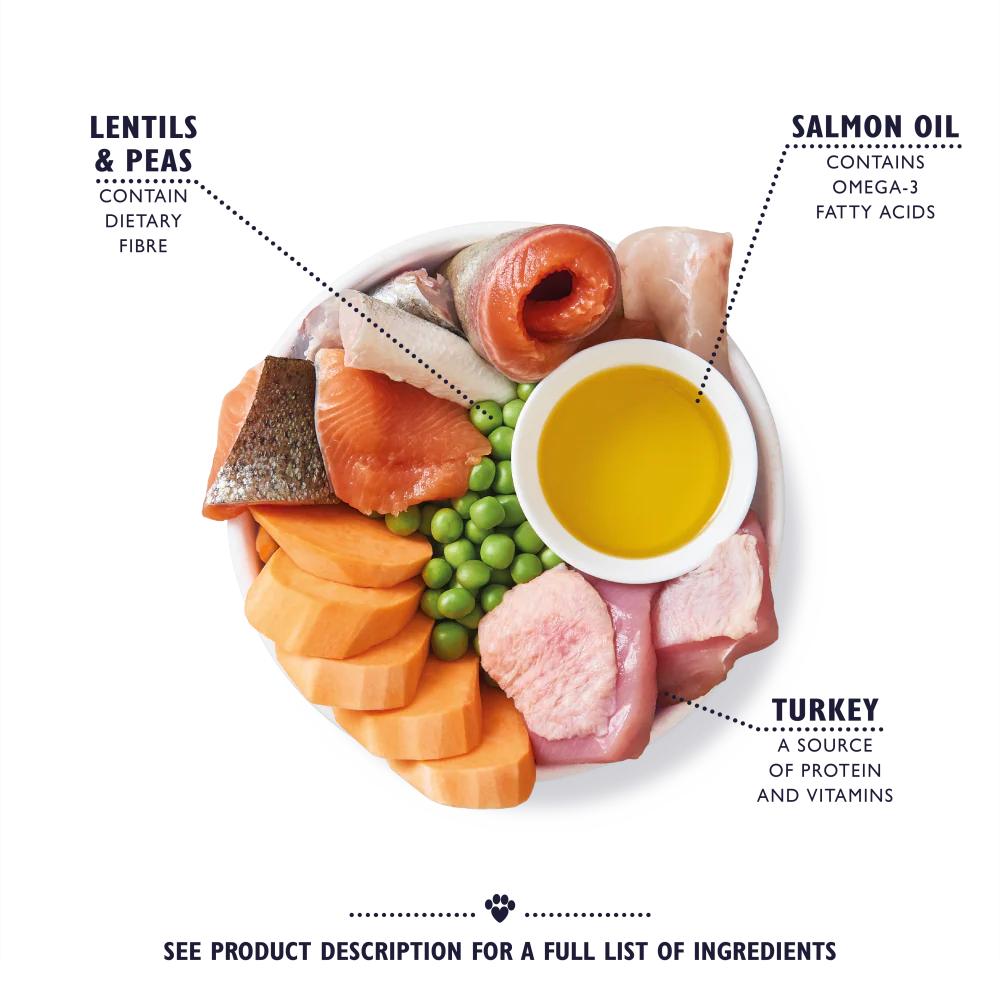 Lily's Kitchen Dog Complete Dry Senior Recipe Turkey & Trout - 2.5kg