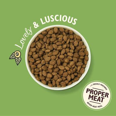 Lily's Kitchen Dog Complete Dry Shepherd's Pie Lamb - 2.5kg