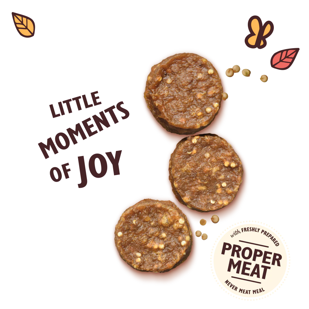 Lily's Kitchen Dog Treats Chomp-Away Chicken Bites - 70g